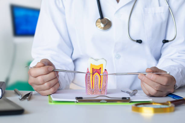 Best Emergency Wisdom Teeth Removal in Southmayd, TX